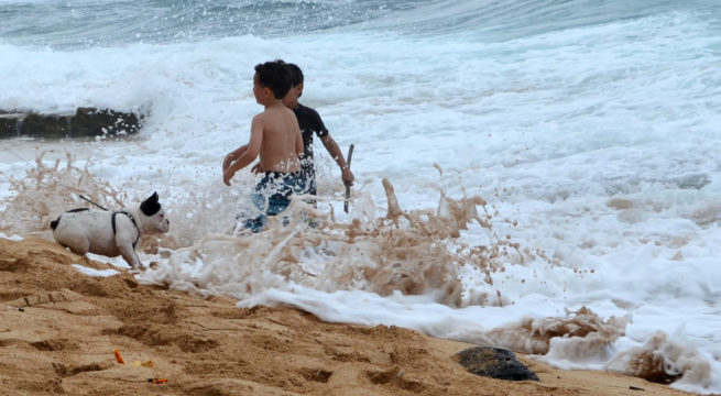 Menschen: Hawaii 2