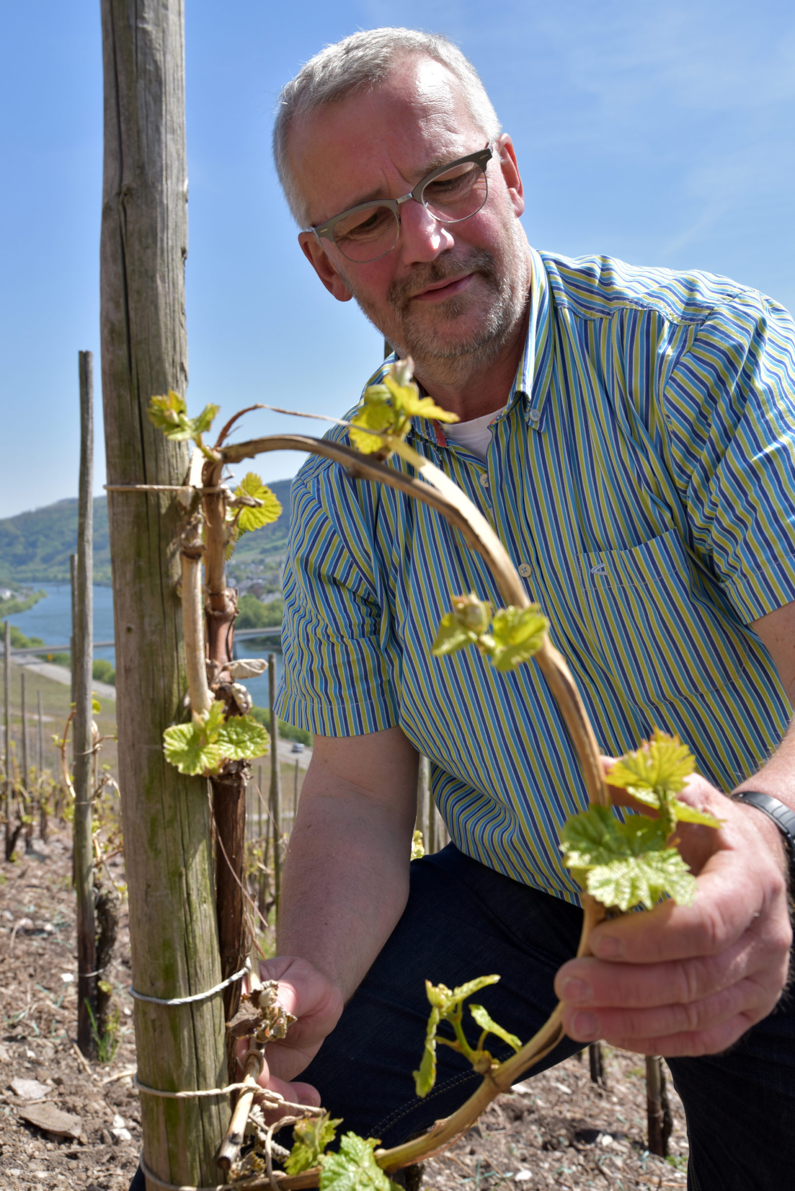 Weingut Meulenhof 6