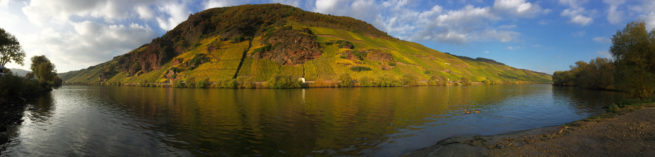 Weingut Meulenhof 9